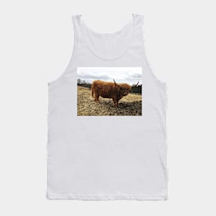 Scottish Highland Cattle Cow 2364 Tank Top